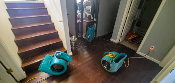 Dollar Bay, MI Water damage restoration Company