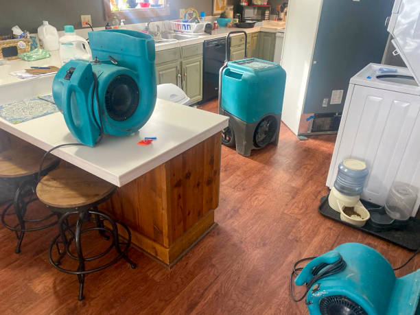 Best Fire Damage Restoration  in Dollar Bay, MI