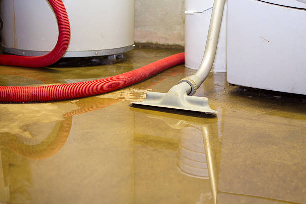 Best Water damage restoration near me  in Dollar Bay, MI
