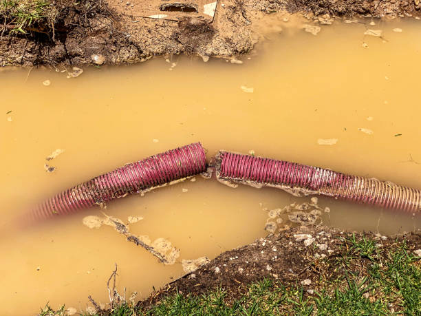 Best 24/7 water damage repair  in Dollar Bay, MI